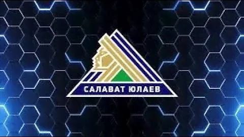 СЮ-Ак барс 5:0.Знаменитый болельщик 😃