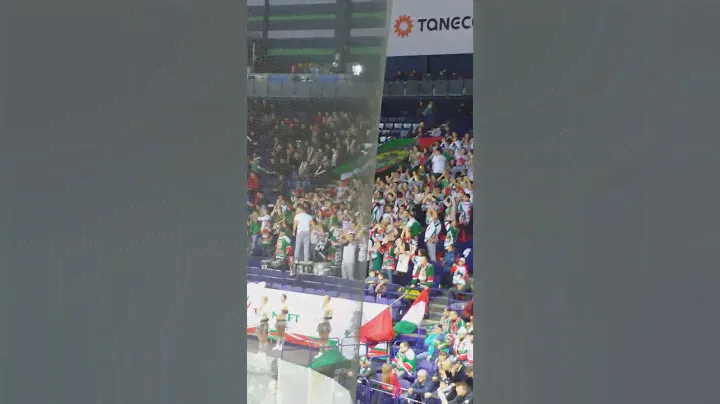 Фанаты АкБарс